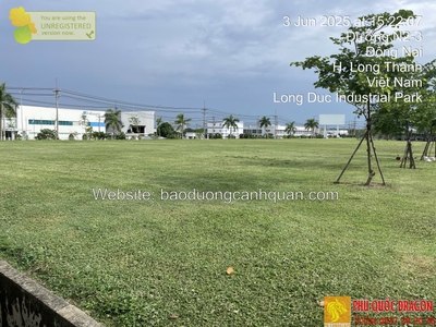 C.ỏ trồng sân vườn, sân bóng ở HCM, Đồng Nai SLL 0
