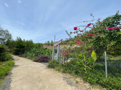 Ban 4700m thôn nước nhĩ, khánh phú ngang 78m bám đường oto betong 6m.  gia 2ty650 lh na 0