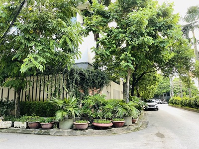 Hàng đẹp vạn phúc   ở là sướng   làm văn phòng là chất   đầu tư là lời 0