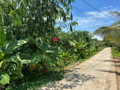 Bán đất thổ 462m2, sát ql.62, view kênh, shr, đường ô tô, xã thuỷ tây thạnh hóa, long an 2