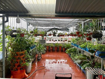 Chính chủ cần bán gấp nhà đẹp, vuông vắn tại 55 bùi thị từ nhiên, quận hải an, hải phòng 4