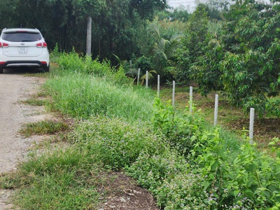 Đất đẹp   giá rẻ  - cần bán nhanh 2 lô đất siêu đẹp tại châu thành, đồng tháp 4
