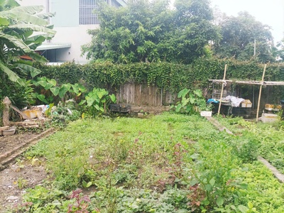 Lô đất Tô Phong - Bìa Hồng - Ô Tô đỗ đất - Gần Nguyễn Lương Bằng 0
