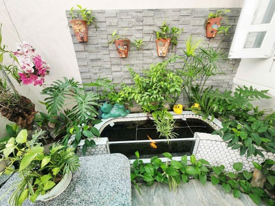 Bán Nhà 3 Tầng Ngang 8.5m - Hẻm Nguyễn Biểu - Phường Bắc Nha Trang 4