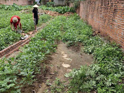 Cần bán 55m2 đất tại sóc sơn. giá rất rẻ, chỉ 4 triệu/m2. không có mảnh thứ hai 2