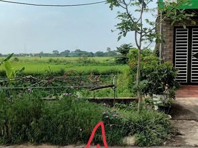 Đất đẹp- giá đầu tư - chính chủ cần bán lô đất mặt đường vị trí đẹp tại quế võ, bắc ninh 1