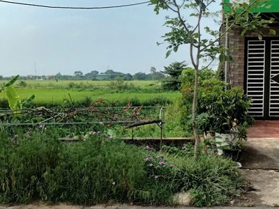 Đất đẹp- giá đầu tư - chính chủ cần bán lô đất mặt đường vị trí đẹp tại quế võ, bắc ninh 3
