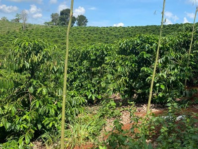 Đất đẹp - giá tốt - cần bán nhanh lô đất vị trí đắc địa tại xã đăk r tih , tuy đức đăk nông 1