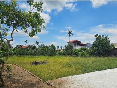 Bán đất tại Thanh Hồng, Thanh Hà, Hải Dương. Cạnh đường cao tốc Hà Nội - Hải Phòng, quy hoạch đường 2