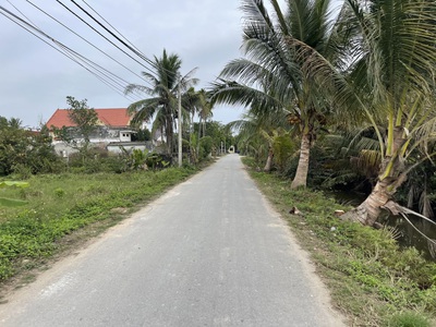 Bán Lô đất mặt đường thôn ở Tân Phong, Kiến Thụy, Hải Phòng 4