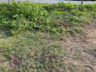 Chính chủ bán gấp lô đất nền đẹp 90m    Đường số 11   TP. Tân An   Sổ hồng riêng   Giá chỉ 900 triệu 2