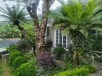 Bán biệt thự nhà vườn nghỉ dưỡng tại phú mãn, view suối đẹp - 516m2 - giá chỉ 8.5 tỷ 4