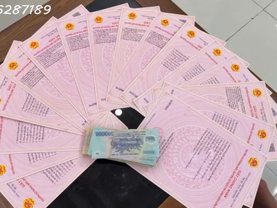 Sở hữu ngay 11 lô đất tâm huyết tại nhất trai   quang minh   lương tài   bắc ninh 3