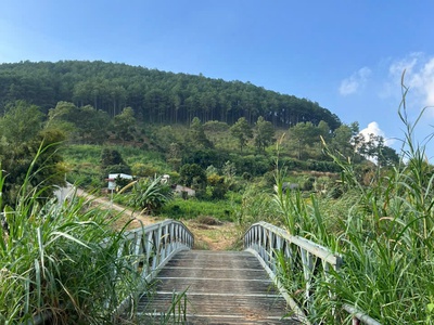Chính chủ cần bán đất ở thị trấn nam ban- huyên lâm hà -tỉnh lâm đồng 4