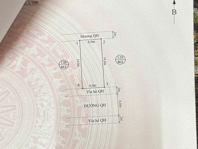 Chính chủ gửi bán lô 84m2 ngang 6m đấu giá tt.an dương 0