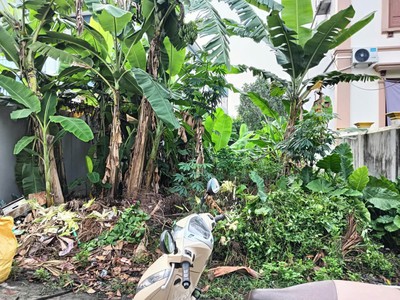 Chính chủ cần tiền bán gấp lô đất đẹp tại bảo thái - phường tân hưng -thành phố hải dương 1