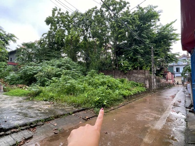 Bán gấp 46m tam thuấn, phúc thọ. ô tô đỗ tại đất. giá 4x nhỏ 1