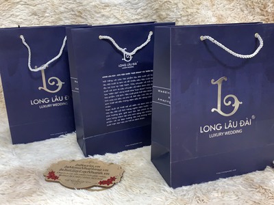 In túi giấy thời trang, in túi giấy Shop, in túi giấy giá rẻ 1