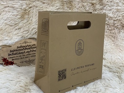 In túi giấy thời trang, in túi giấy Shop, in túi giấy giá rẻ 3