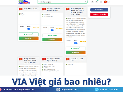 Mua VIA Việt chạy quảng cáo: Tiết kiệm ngân sách đến 50 4