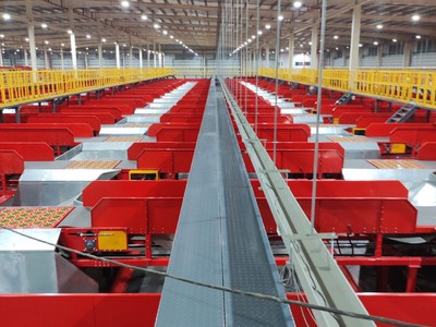 Tối ưu kho hàng   Tăng tốc phân loại với hệ thống băng chuyền tự động 3