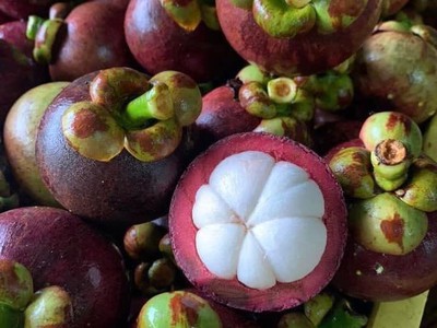 Chính chủ cần bán đất mảnh đất vườn có thổ cư giá chỉ 1,9 triệu/m2 3