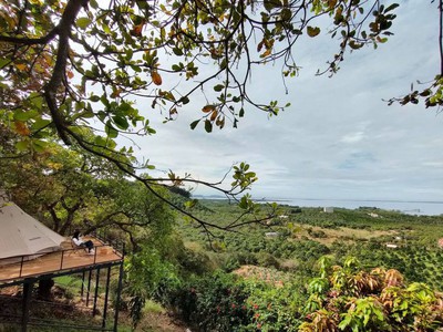 Cần bán đất Đồng Nai diện tích 1000m2, có View Hồ Trị An cách TP. HCM hơn 1 giờ di chuyển 4
