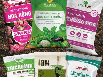 Bao bì Đất Sạch 3