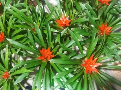 Dịch vụ kế toán   thuế tp.hcm sau sáp nhập  trọn gói   tận tâm   giá cạnh tranh Var:TinhQuan 2