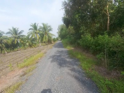 Đất đẹp - đầu tư sinh lời - chính chủ bán nhanh lô đất xã lê minh xuân, huyện bình chánh, tphcm 2