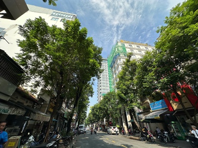 Bán nhà đất khuôn viên đẹp mặt tiền trần hưng đạo, p. cô giang, q1. dt: 15x35m, hđ thuê 200tr. qhxd 0