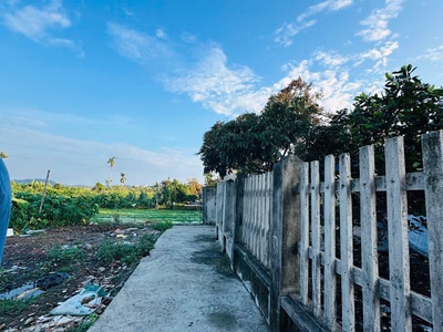 Cần bán lô đất tại thôn kiến phong, xã đồng thái, huyện an dương, hải phòng. 3