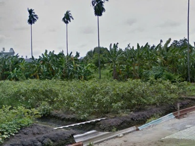 Bán đất 25x62m full thổ cư giá 25 triệu/m2 đường 6m thạnh xuân 52 0