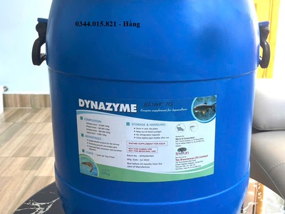 Dynazyme - Enzyme tiêu hóa, enzyme tăng trọng cho vật nuôi 1