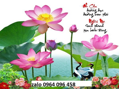 Gạch tranh 3d hoa sen - gạch tranh 3d hoa sen - MNB54 3