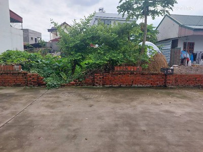 Rẻ nhất đông anh chủ cần tiền bán gấp, đất thư lâm 180,5m2, mt9.5m, 10.8 tỷ,  tl,  đông anh . ô tô 2