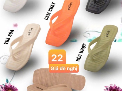 Dép Nữ 2