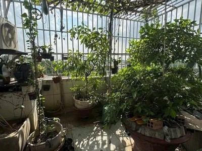 Bán nhà mặt tiền tân trang, phường 9, quận tân bình  4,5,14  2 lầu 10 tỷ 3
