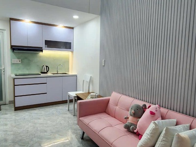 Bán nhà mới xây cạnh biển thu nhập tiền 50 triệu/tháng, bắc nha trang 4