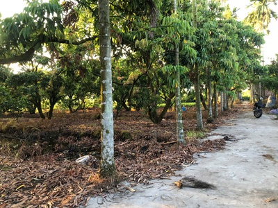 Chính chủ bán mảnh đất khu trang trại, vườn cây ao cá. 1