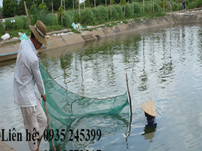 Lưới vét cá theo yêu cầu luoinguyenut 1