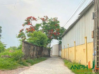 Cần bán 2 lô đất vị trí cực đẹp tại Phường Hòa Bình, TP Hải Phòng 1