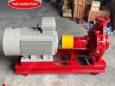 Máy bơm điện trục rời Stella STR80-250/45 45kW 0