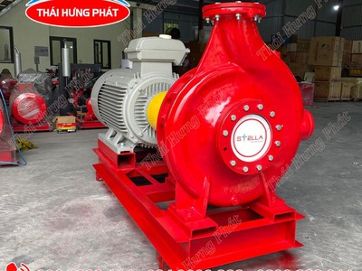Máy bơm điện trục rời Stella STR65-315/55 55kW 0