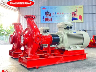 Máy bơm điện trục rời Stella STR65-315/75 75kW 0