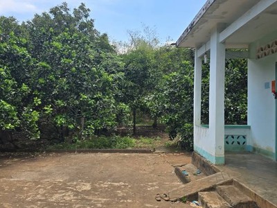 Chính chủ cần bán gấp lô đất vườn 3.700m , có nhà và thổ cư tại Đồng Nai 3