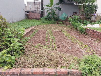 Chủ cần bán 84m2, mt4.5m, ô tô thông, phúc thịnh, hà nội 7 tỷ. 0