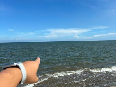 Đơn giá rẻ nhất quất lâm hiện tại - tại giao thuỷ, thành phố nam định 1