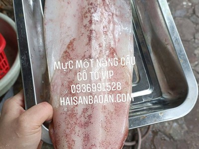 Nơi bán mực 1 nắng vip ngon toàn quốc 0
