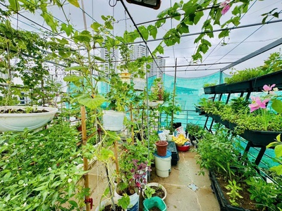 Bán nhà nguyễn chính- hoàng mai, 45/50 m2, 6 tầng, mt 14 m, giá 12,5 tỷ. 4